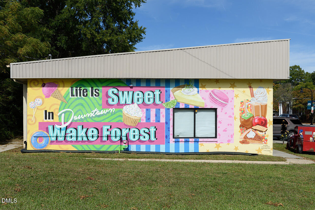 1124 Sun Spgs Road Wake Forest, NC 27587 - Photo 48 of 53 Wake Forest-77