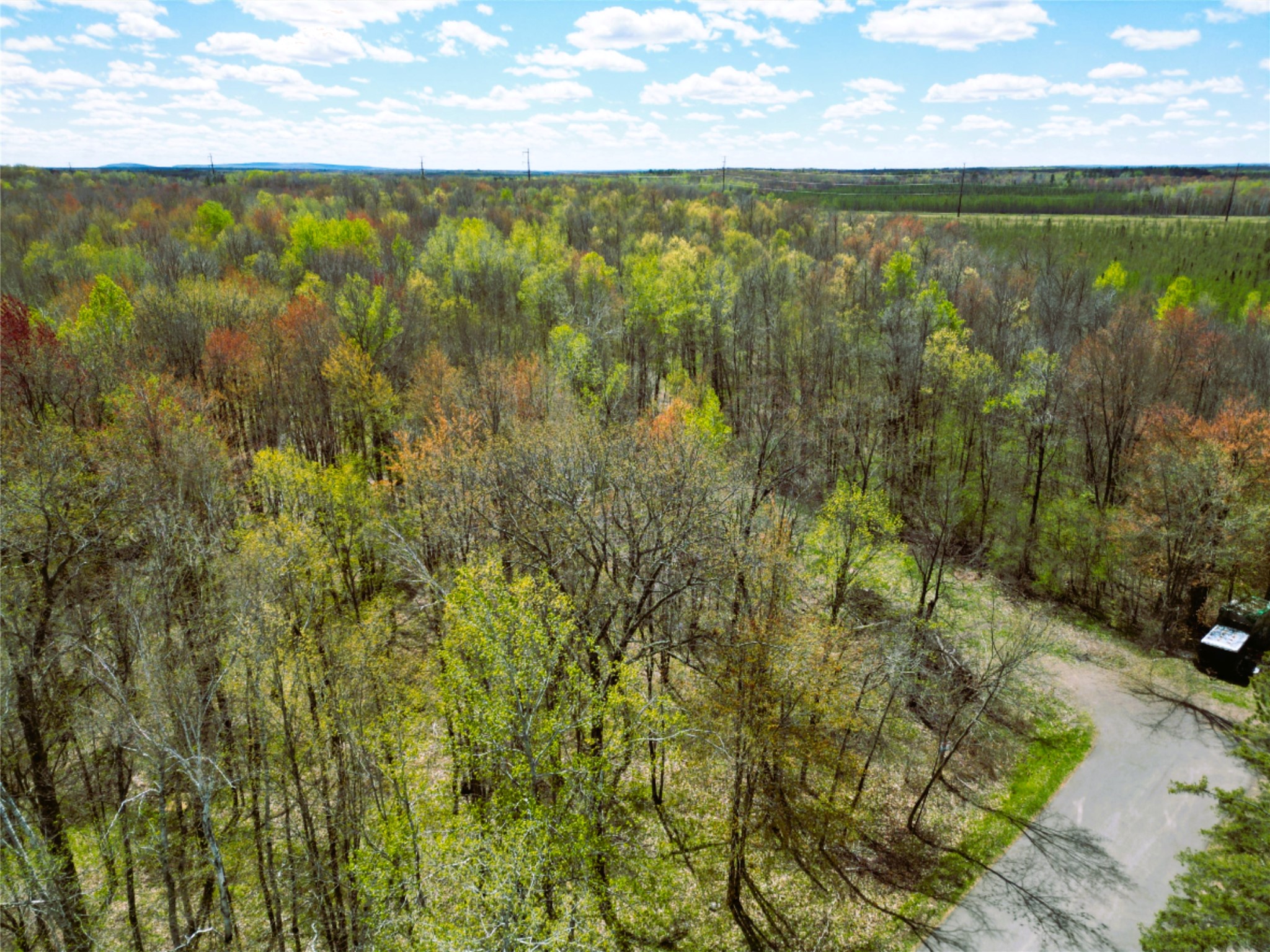 96 White Birch Ridge Road Ladysmith, WI 54848 - Photo 5 of 13