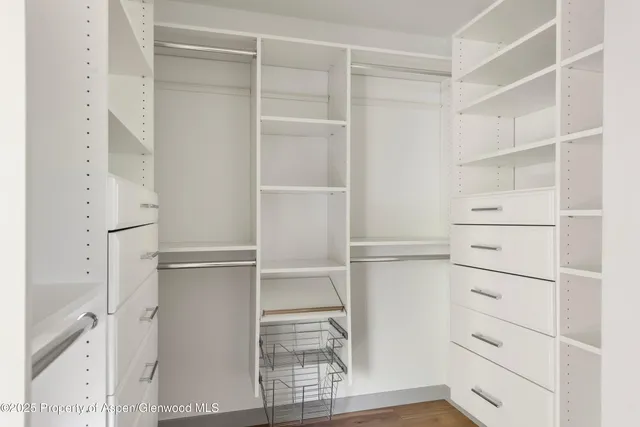 a view of a forest with a forest