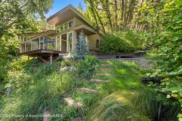 a view of a patio with a tree