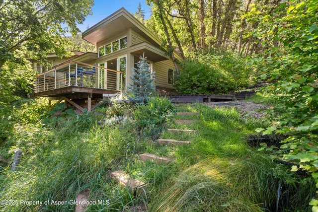 a view of a patio with a tree