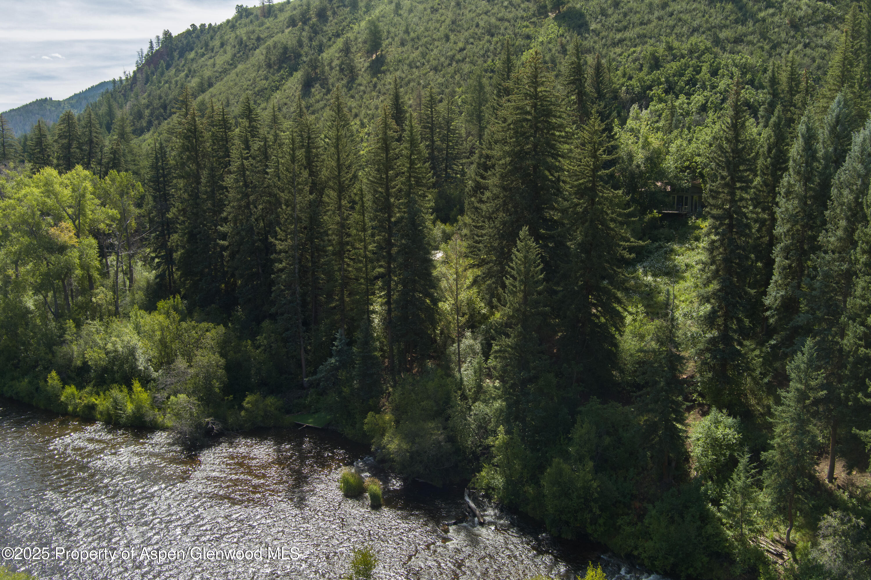 768 Kings Lake Road Basalt, CO 81621 - Photo 26 of 42 a view of a forest with a forest