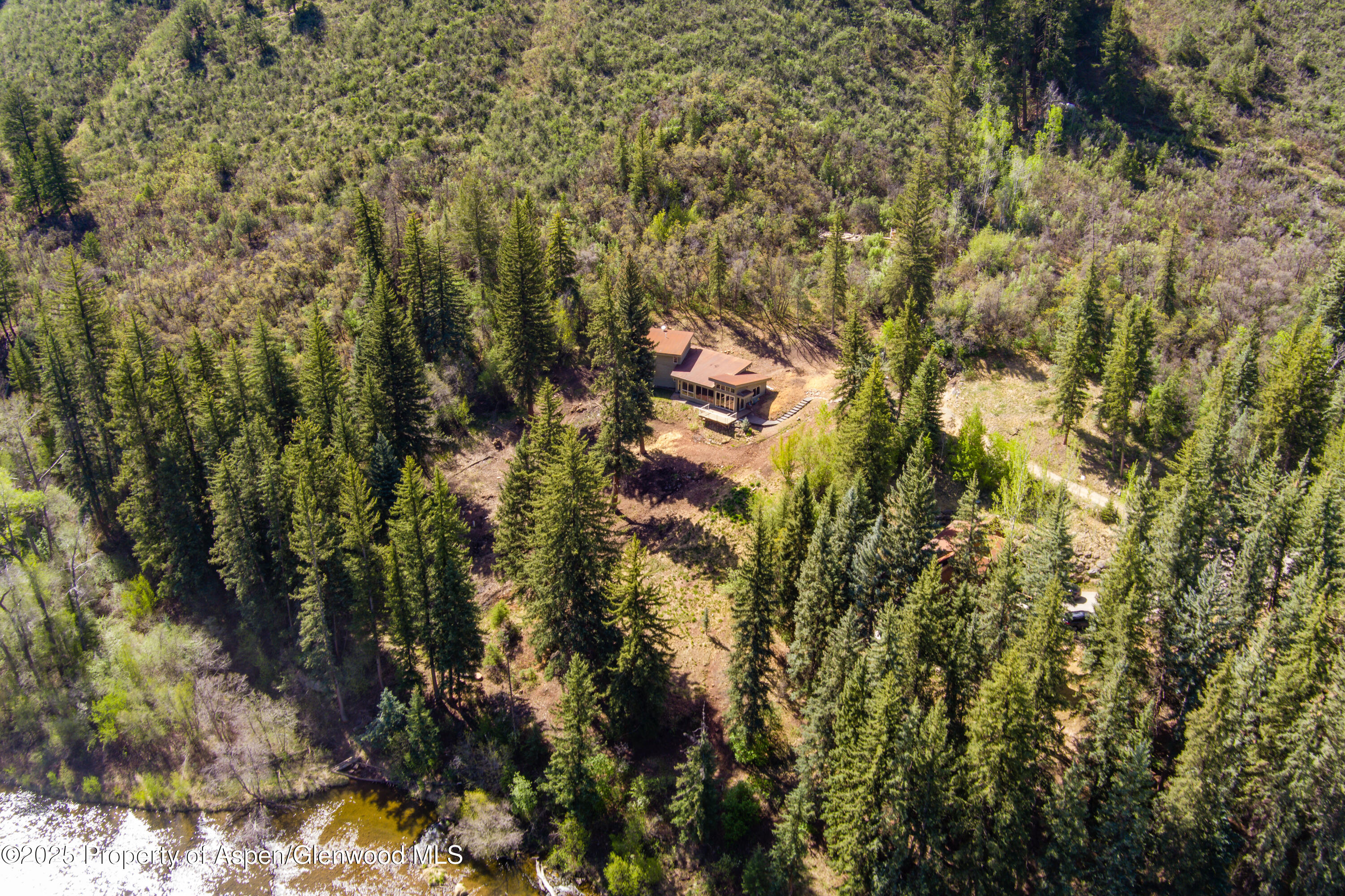 768 Kings Lake Road Basalt, CO 81621 - Photo 36 of 42 a view of a tree in a yard