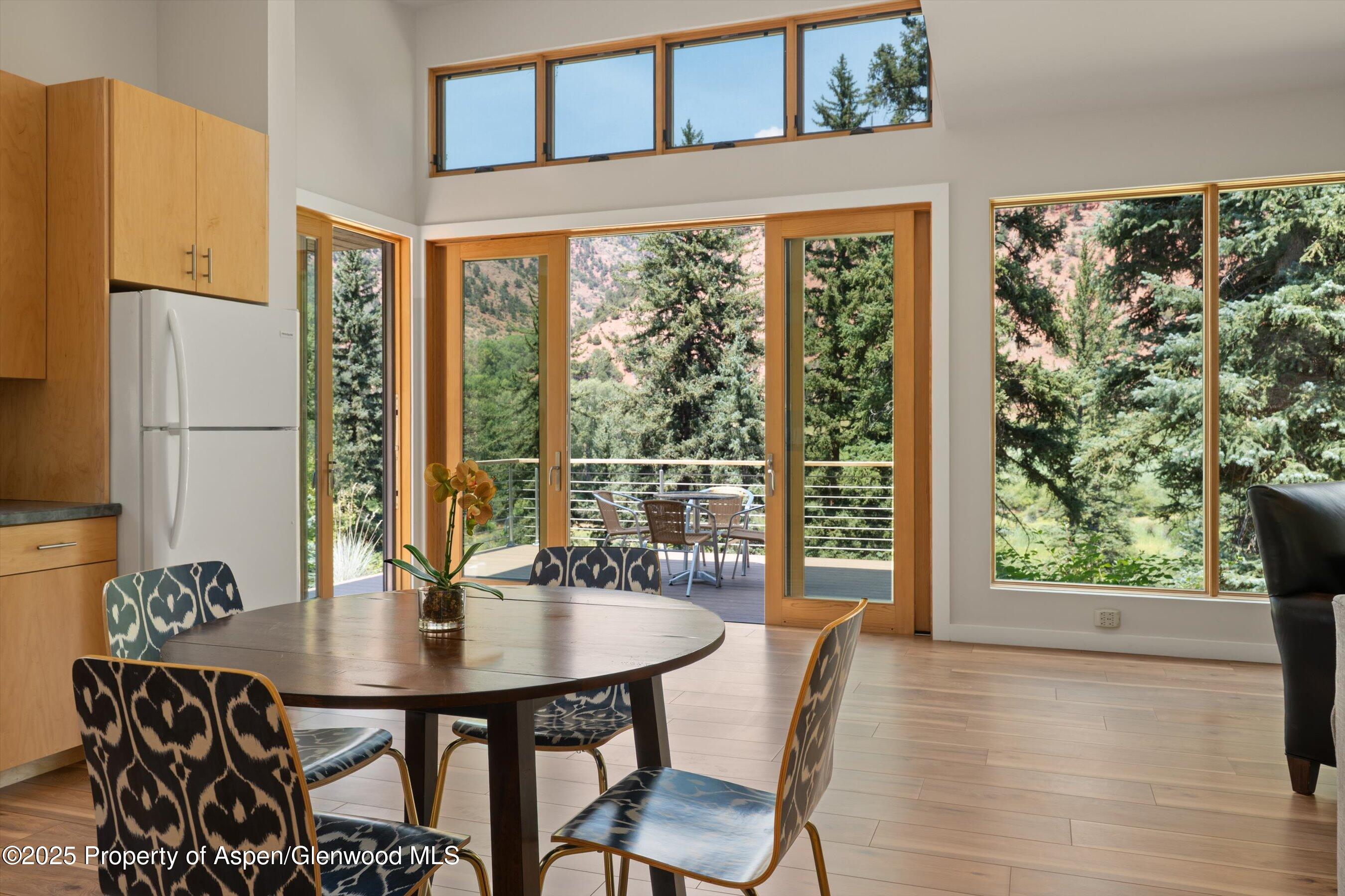 768 Kings Lake Road Basalt, CO 81621 - Photo 4 of 42 11-768KingsLake_25081317