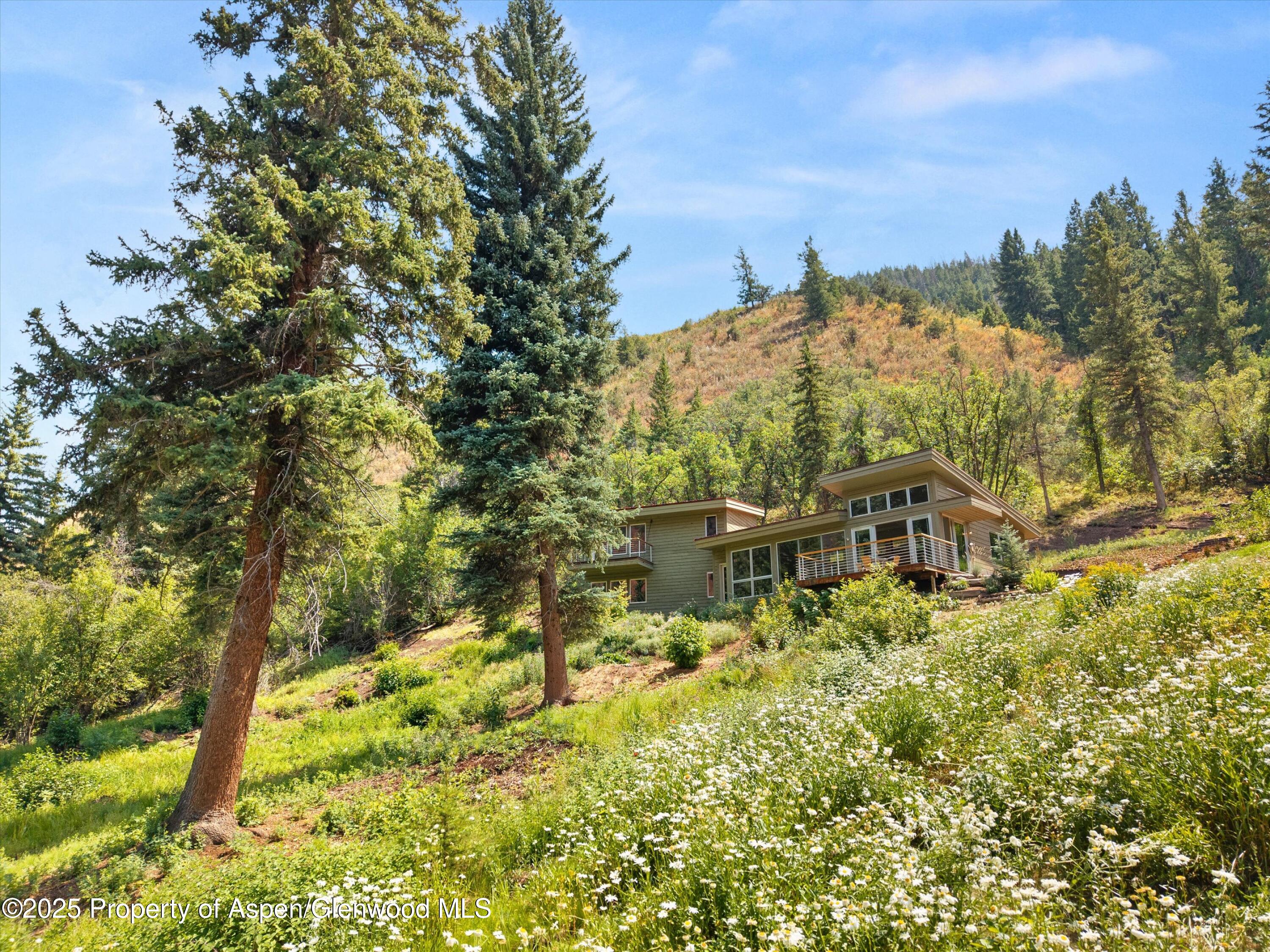 768 Kings Lake Road Basalt, CO 81621 - Photo 42 of 42 15-768KingsLake_25081301