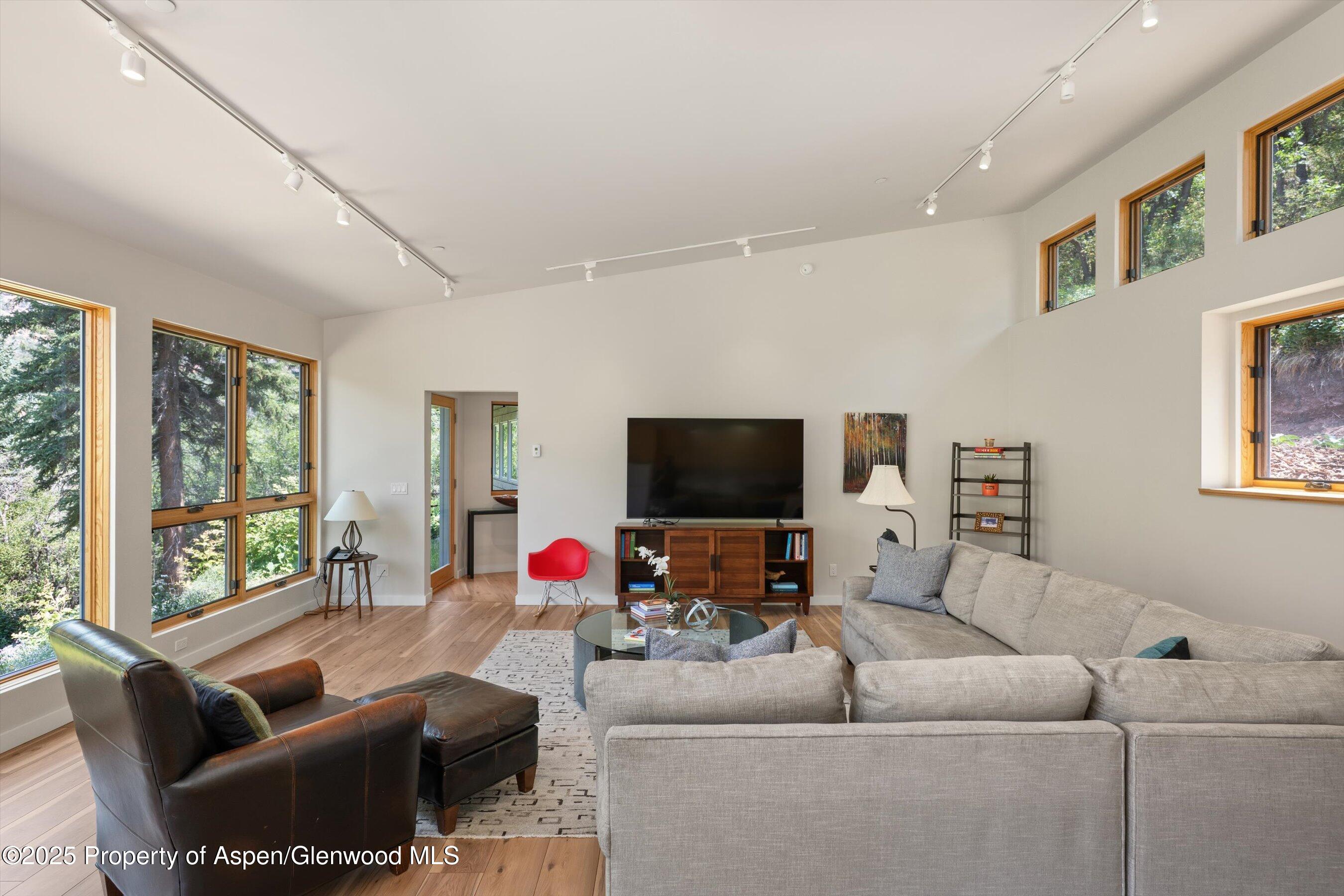 768 Kings Lake Road Basalt, CO 81621 - Photo 8 of 42 a living room with furniture and a flat screen tv