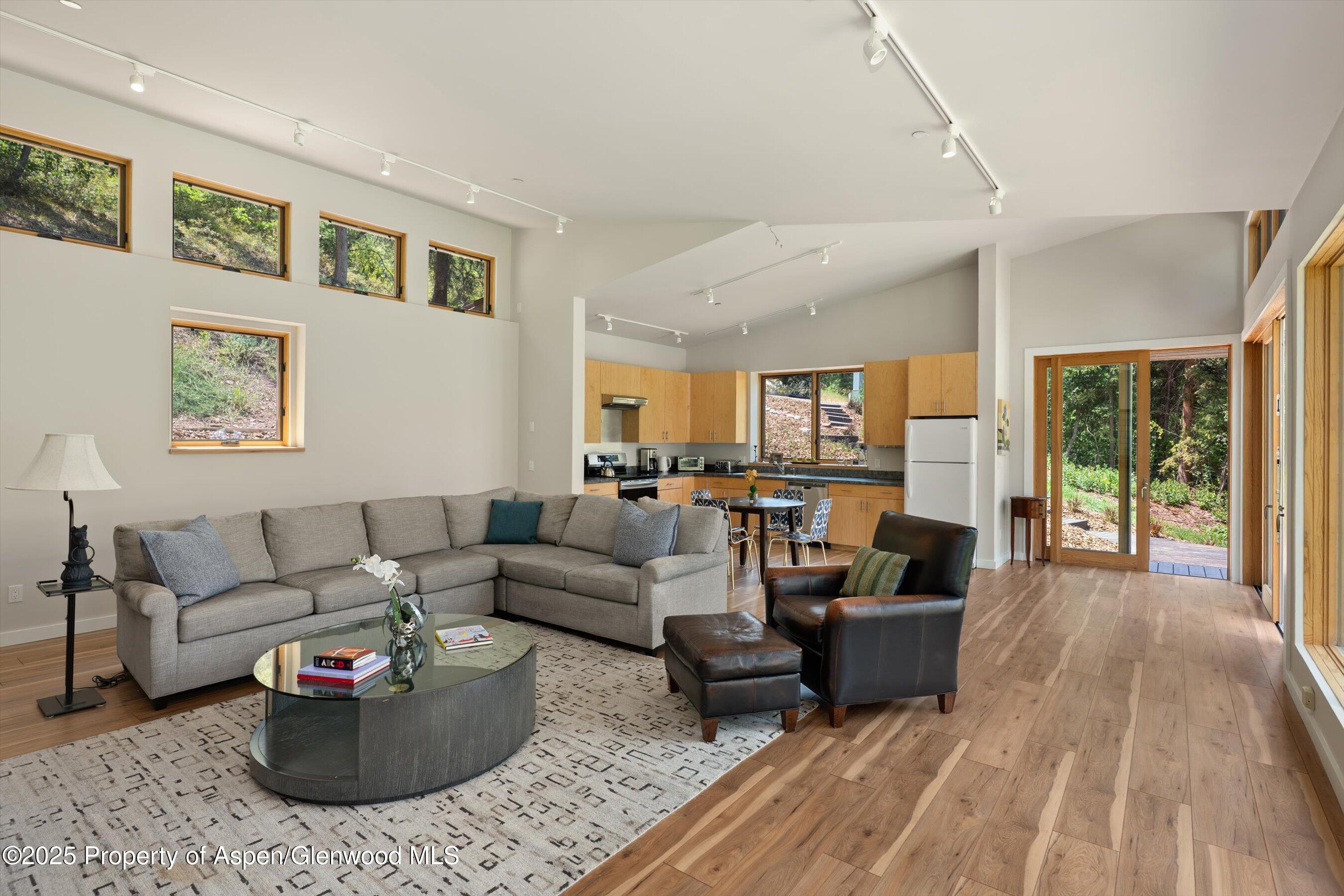 768 Kings Lake Road Basalt, CO 81621 - Photo 9 of 42 a living room with furniture and a rug