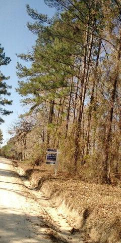 1 Baker Hill Rd Mount Hortense, GA 31543 - Photo 1 of 1