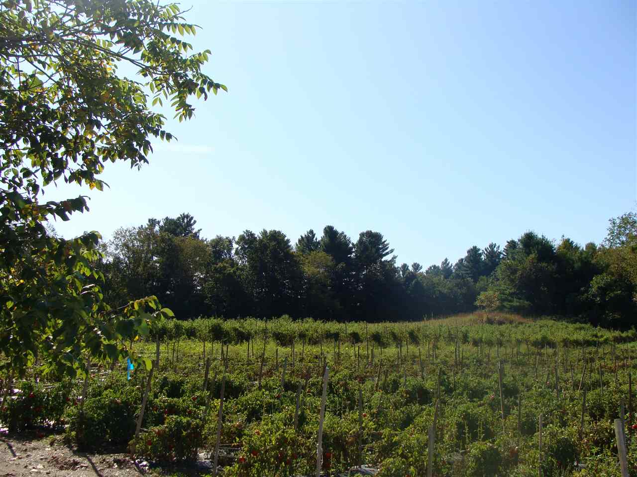 2-44-4 North Pepperell Road Hollis, NH 03049 - Photo 10 of 16 Gallery Image 10