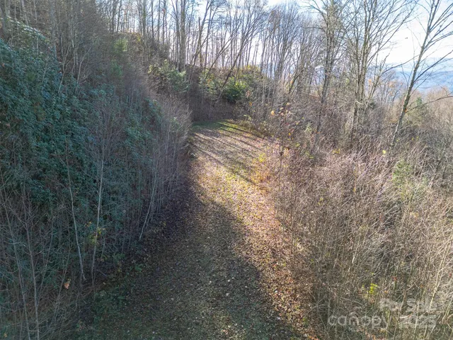 a view of mountain view with trees