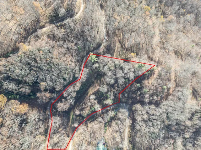 a outdoor view with a tree