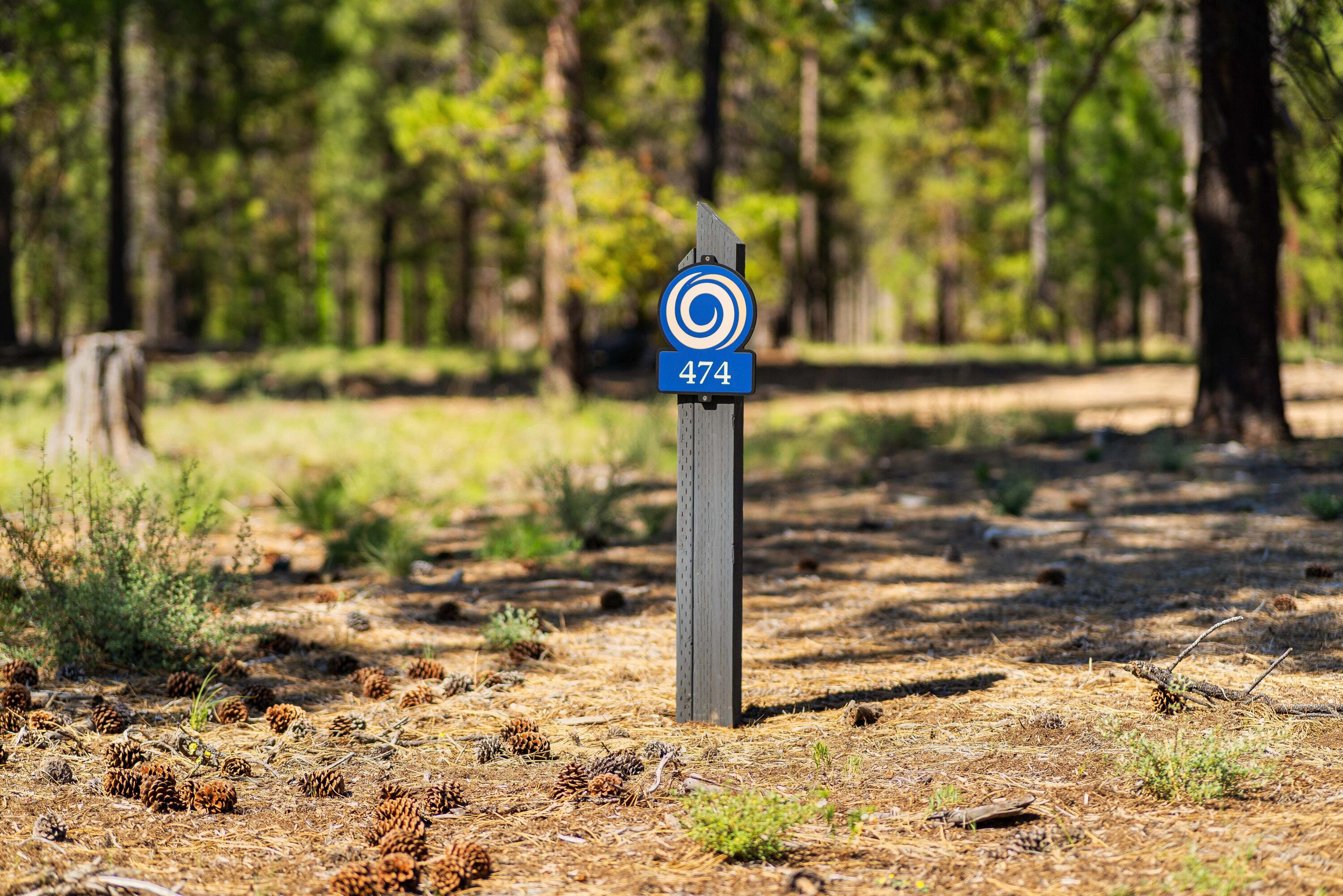 Preservation Loop Bend, Unit 474 Bend, OR 97707 - Photo 1 of 34 DSC00270