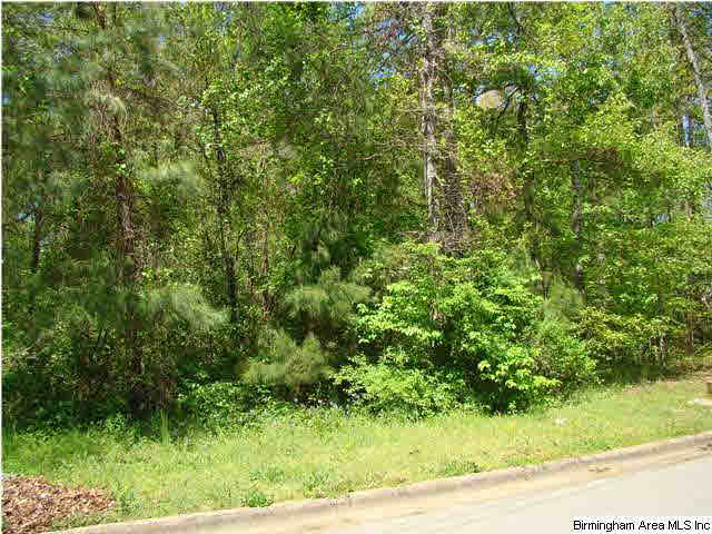 3rd Avenue Northeast Jacksonville, AL 36265 - Photo 2 of 3