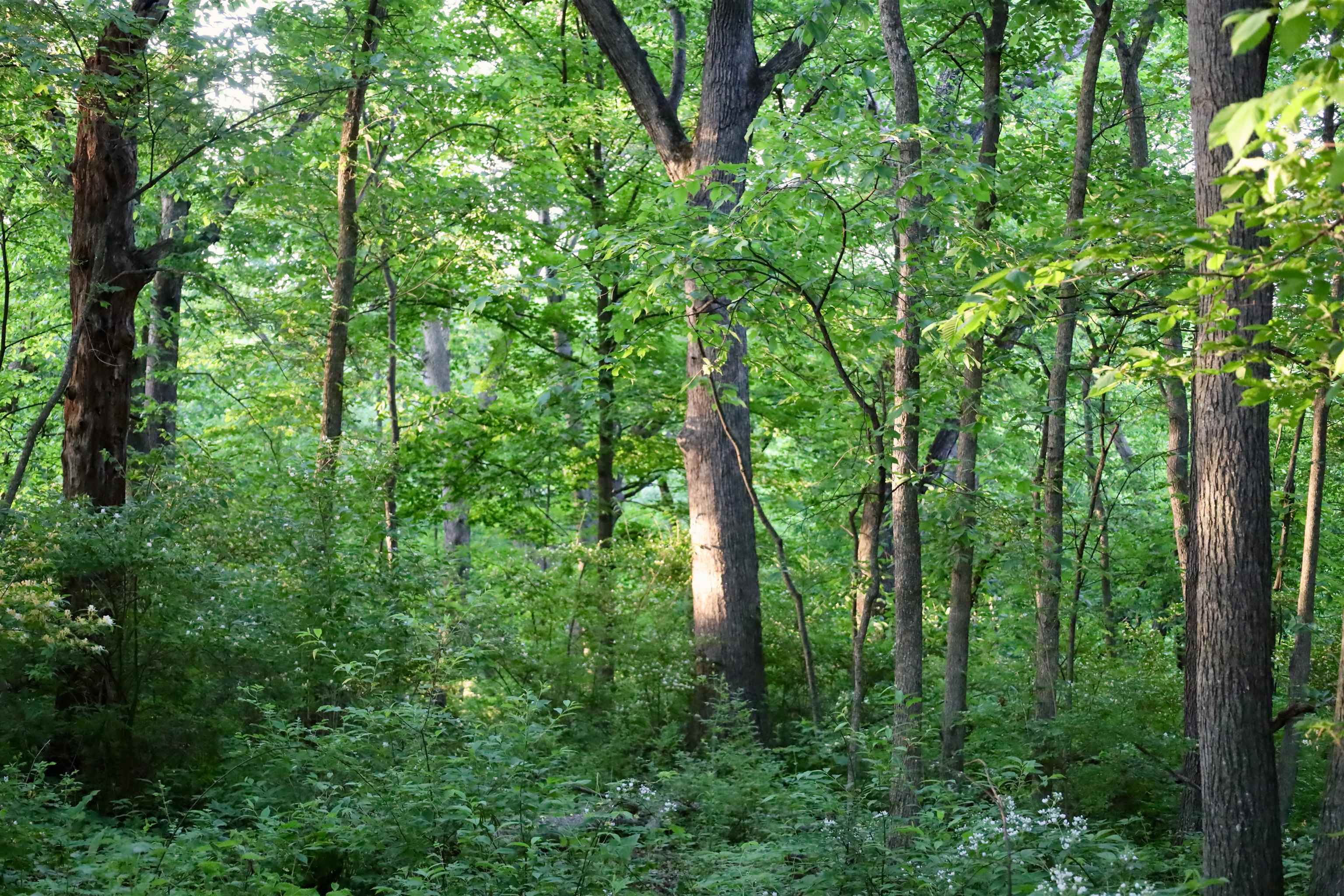 0 County T Boscobel, WI 53805 - Photo 27 of 30
