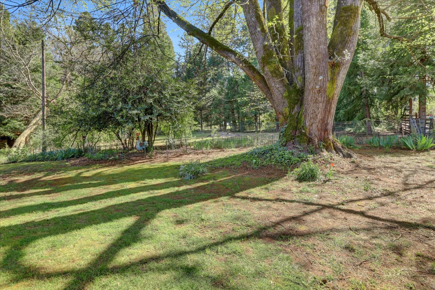 12562 Rough And Ready Highway Grass Valley, CA 95945 - Photo 58 of 99