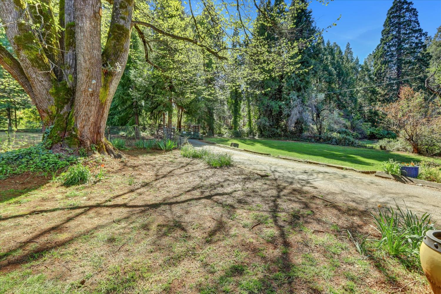 12562 Rough And Ready Highway Grass Valley, CA 95945 - Photo 59 of 99