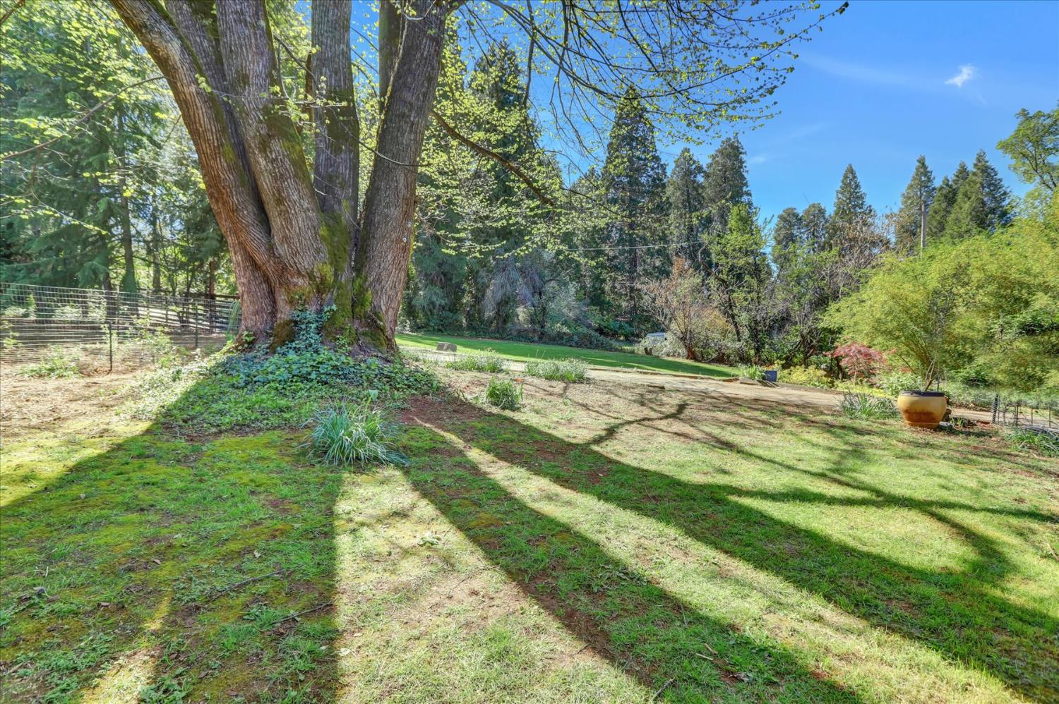 12562 Rough And Ready Highway Grass Valley, CA 95945 - Photo 60 of 99