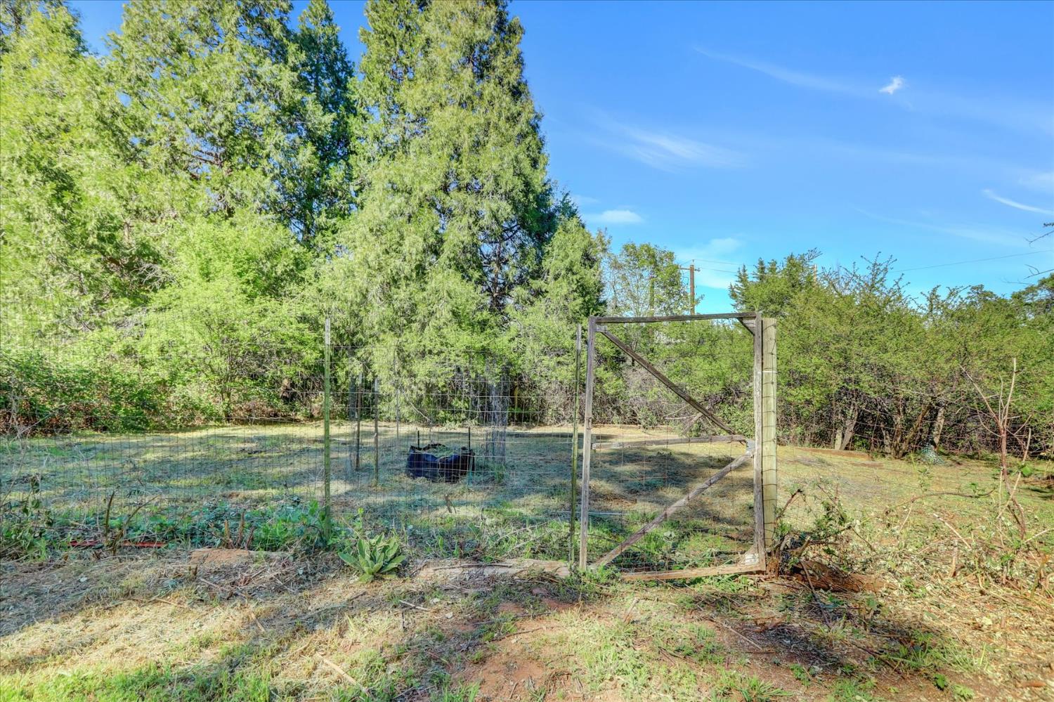 12562 Rough And Ready Highway Grass Valley, CA 95945 - Photo 69 of 99 a view of a field with trees in the background