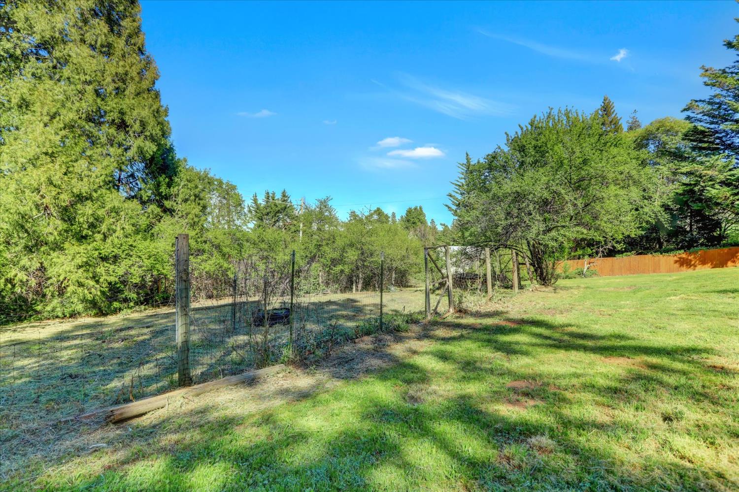 12562 Rough And Ready Highway Grass Valley, CA 95945 - Photo 70 of 99