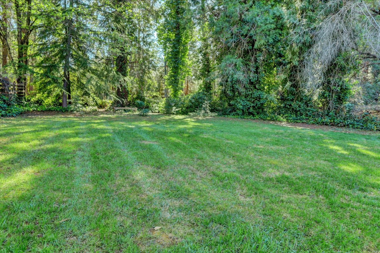 12562 Rough And Ready Highway Grass Valley, CA 95945 - Photo 86 of 99 a view of outdoor space with deck and yard