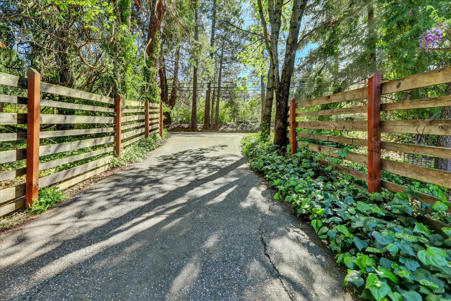 12562 Rough And Ready Highway Grass Valley, CA 95945 - Photo 88 of 99 a view of a yard with plants and trees