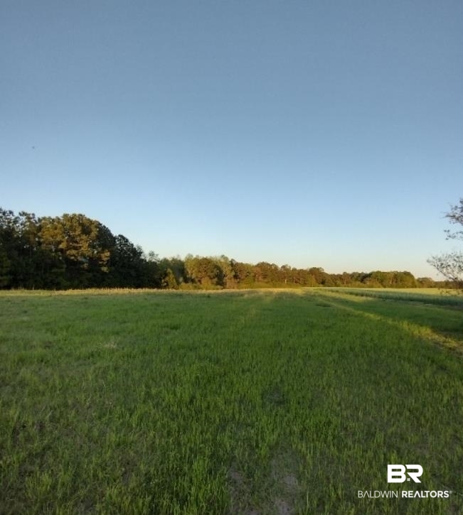 Halls Crossroads Road Monroeville, AL 36460 - Photo 3 of 3