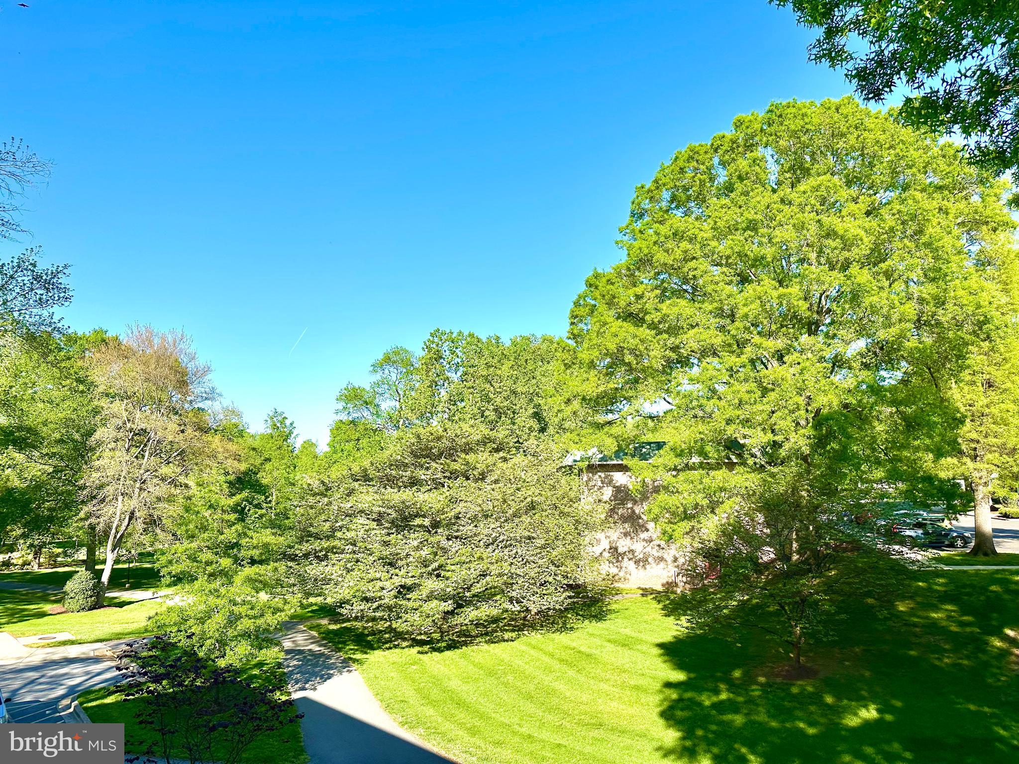 3350 Chiswick Court, Unit 573C Silver Spring, MD 20906 - Photo 23 of 43 View from balcony