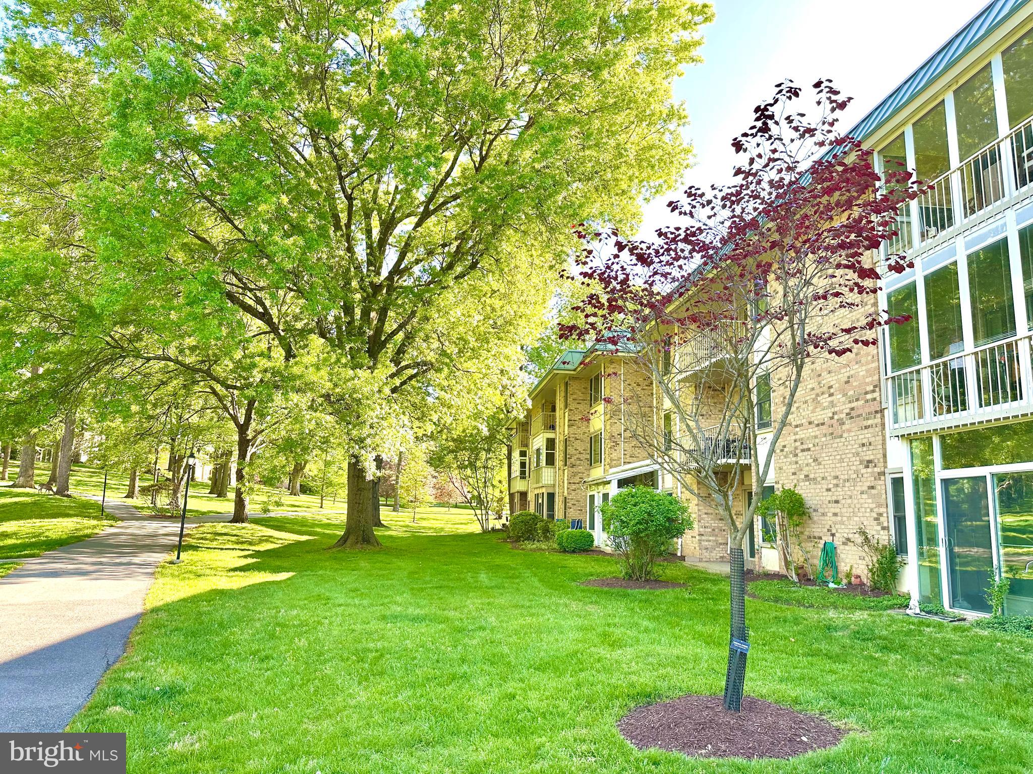 3350 Chiswick Court, Unit 573C Silver Spring, MD 20906 - Photo 24 of 43 a huge green field with lots of trees