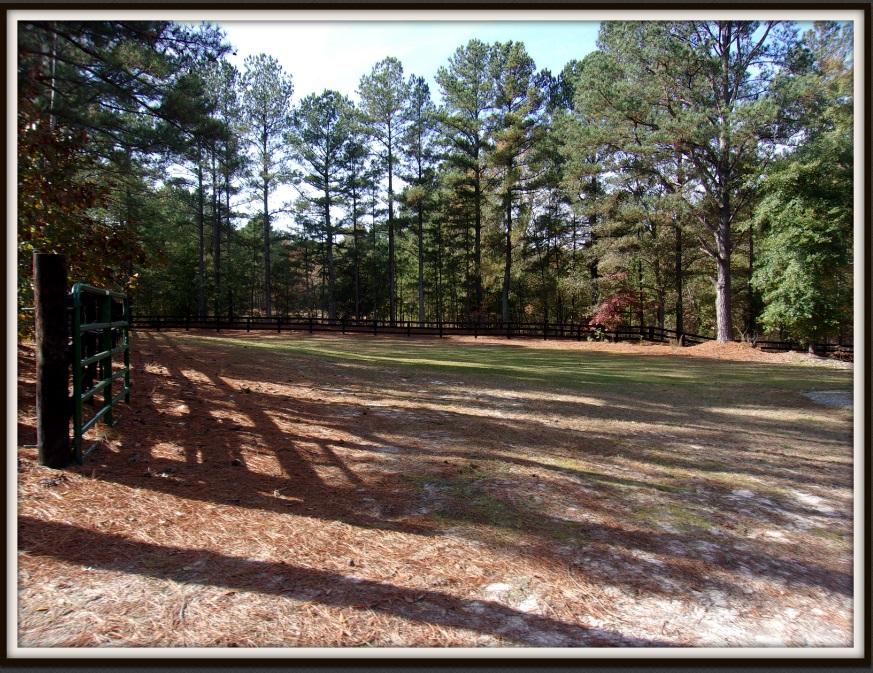 164 Short Road Carthage, NC 28327 - Photo 18 of 26 pasture 2