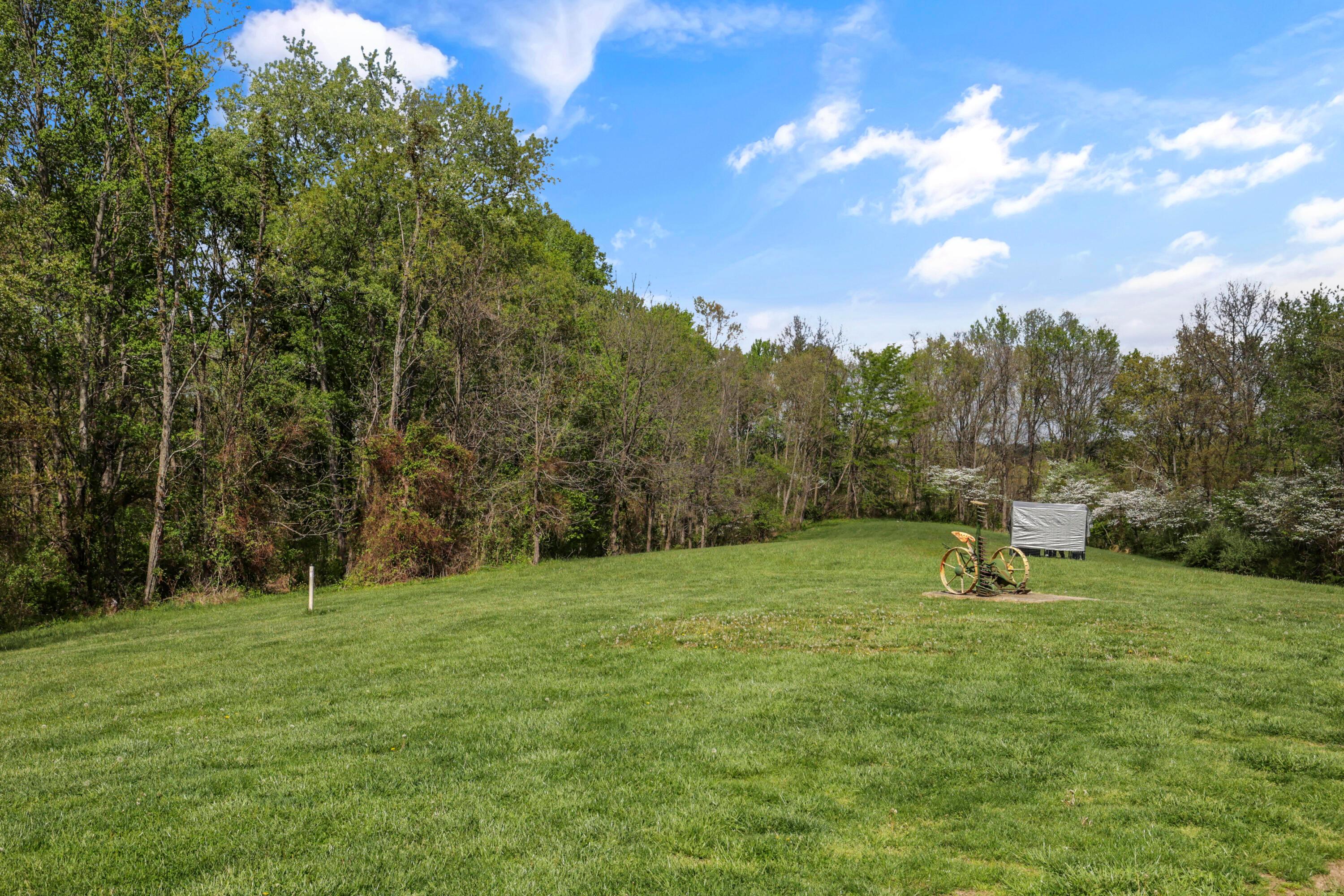 36050 Smith Chapel Road Logan, OH 43138 - Photo 75 of 99 81-print-011A2977