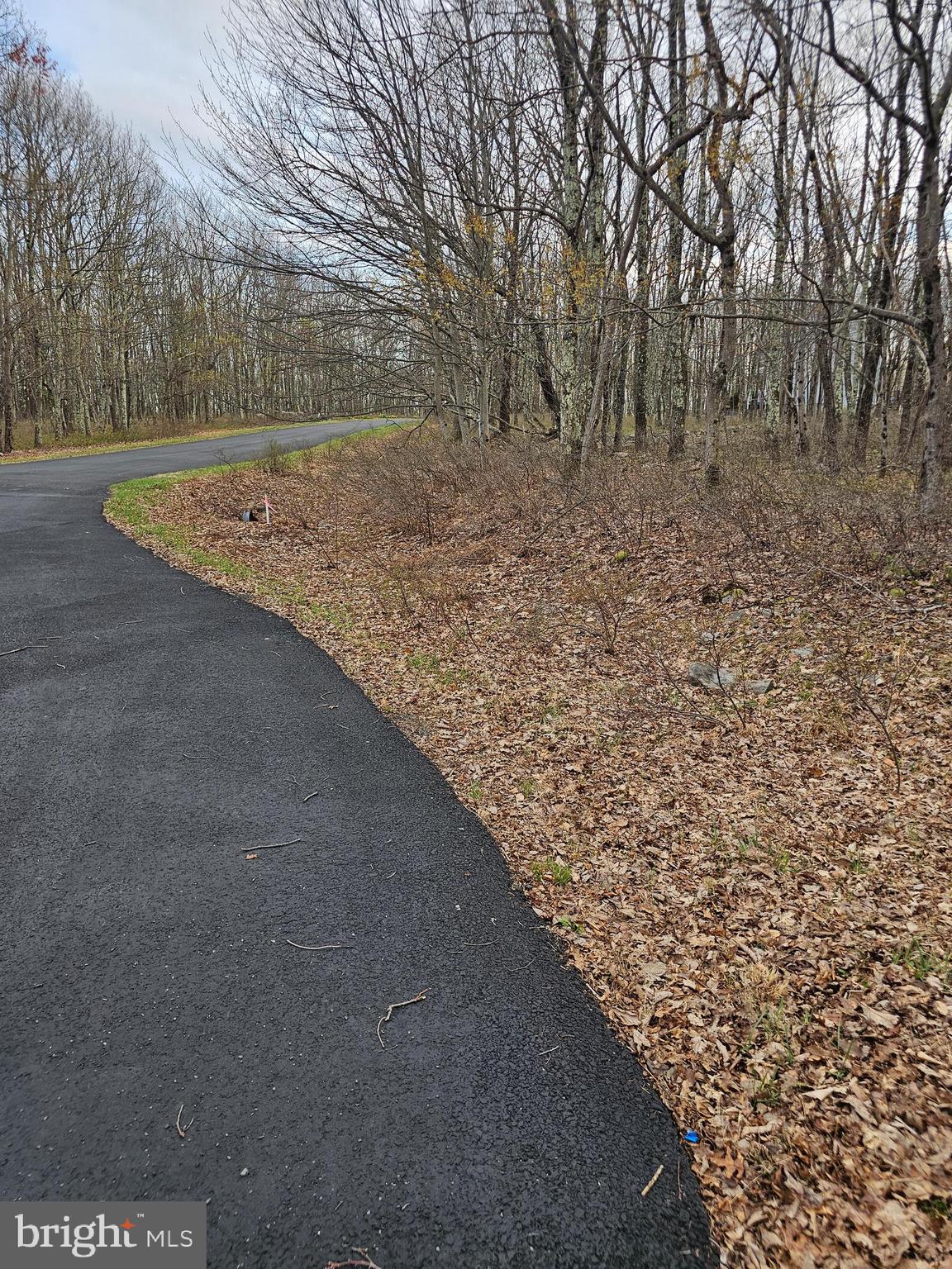 0 East Point Road Albrightsville, PA 18210 - Photo 3 of 9