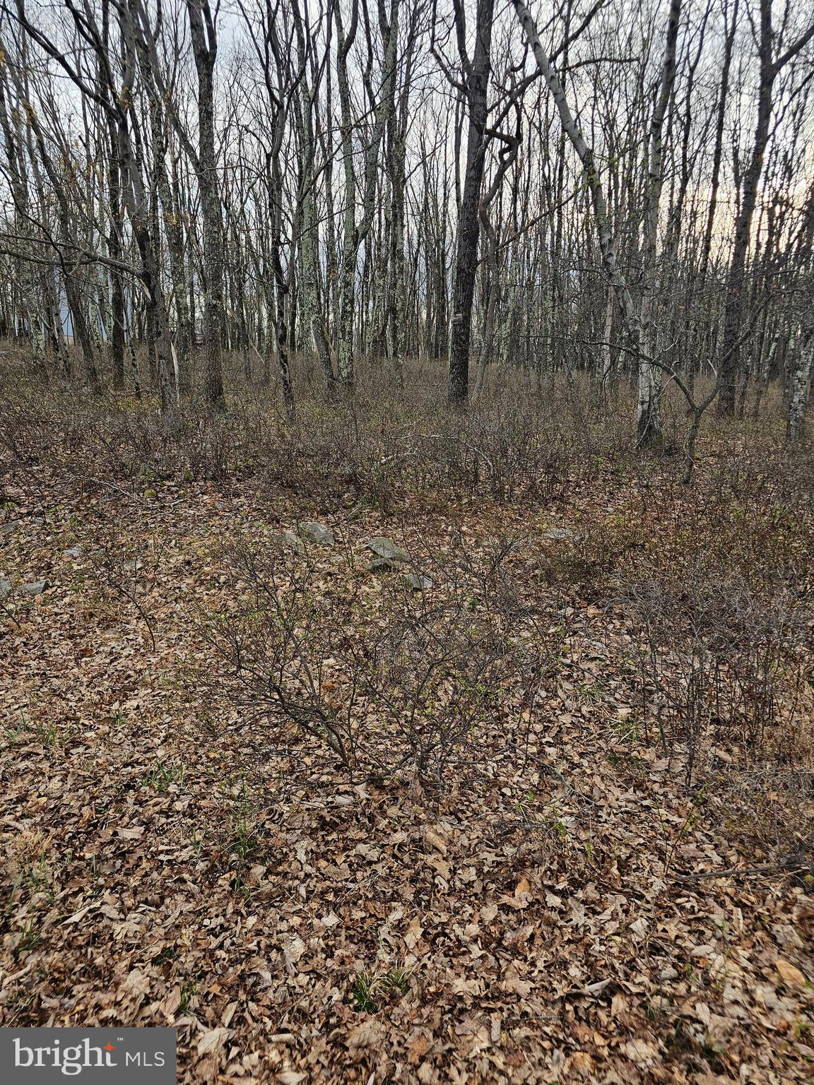 0 East Point Road Albrightsville, PA 18210 - Photo 4 of 9