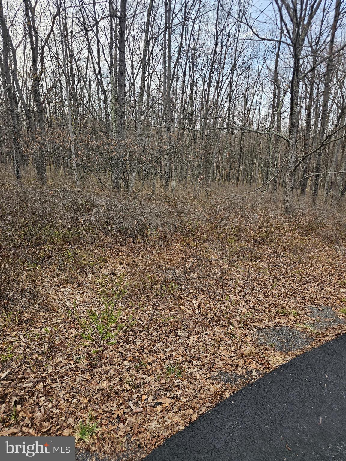 0 East Point Road Albrightsville, PA 18210 - Photo 5 of 9