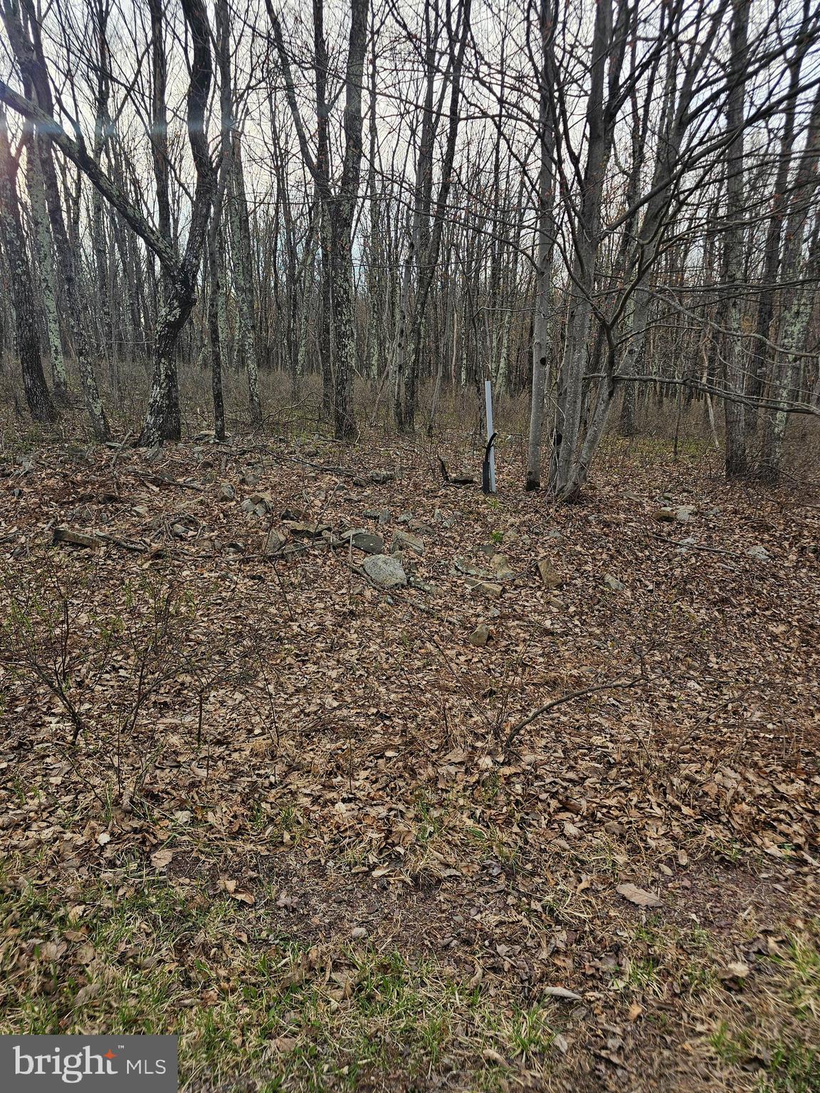 0 East Point Road Albrightsville, PA 18210 - Photo 7 of 9