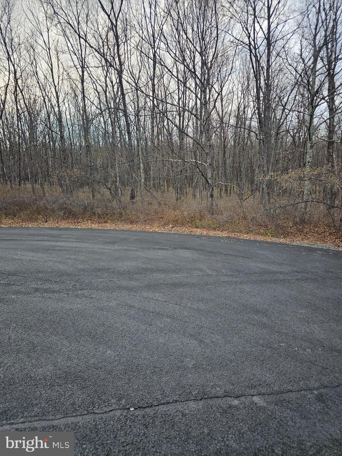 0 East Point Road Albrightsville, PA 18210 - Photo 9 of 9