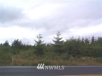 102 Conrad Road Winlock, WA 98596 - Photo 1 of 1