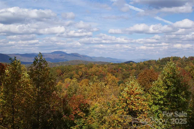 a view of a city with mountain
