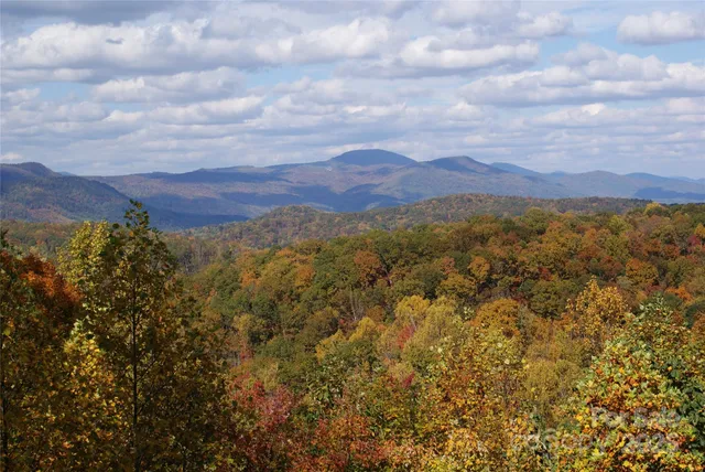 $725,000 | 178 Table Rock Drive, Saluda, NC 28773