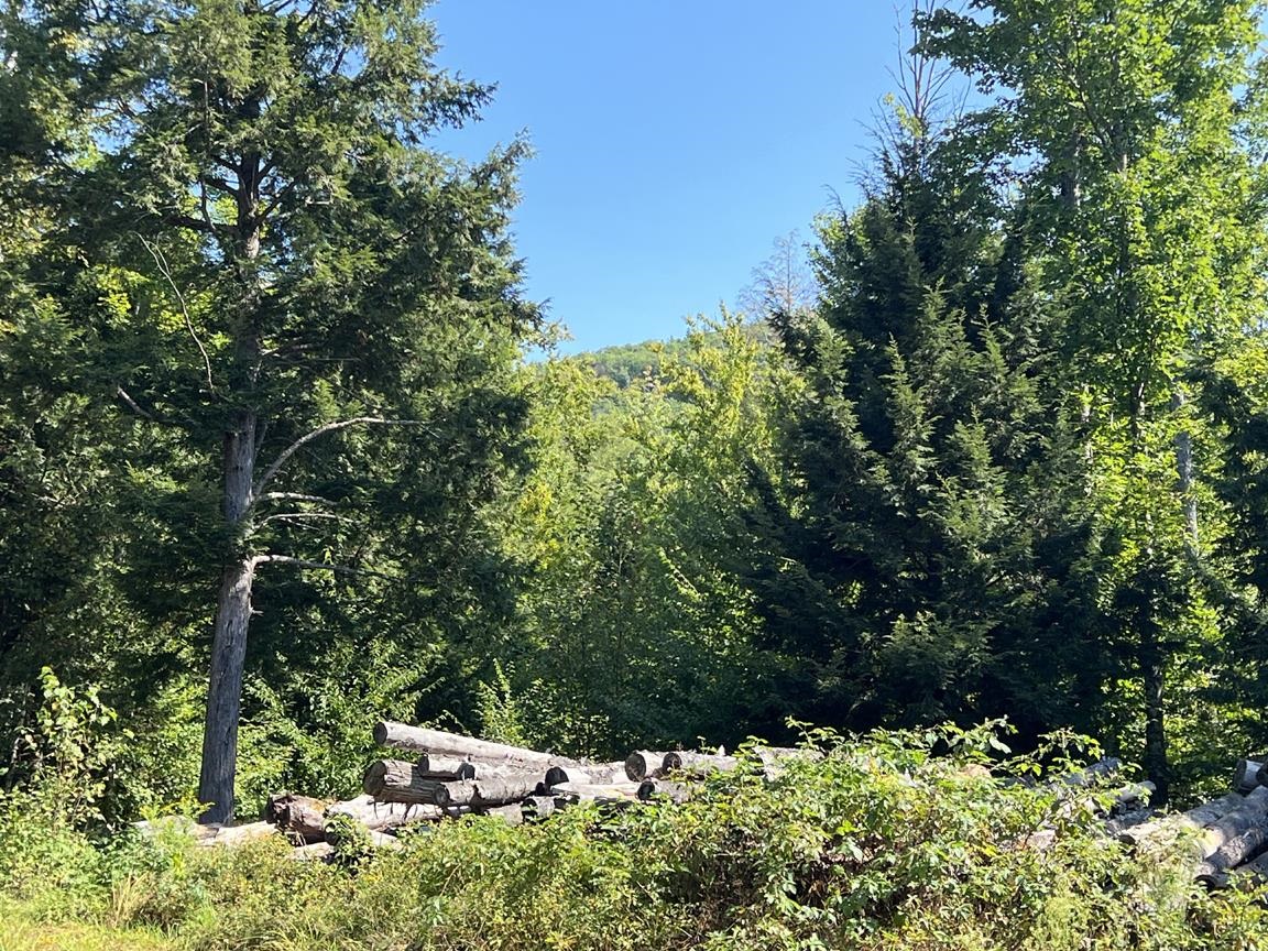 22 Plaisted Road Campton, NH 03223 - Photo 15 of 17 Gallery Image 15