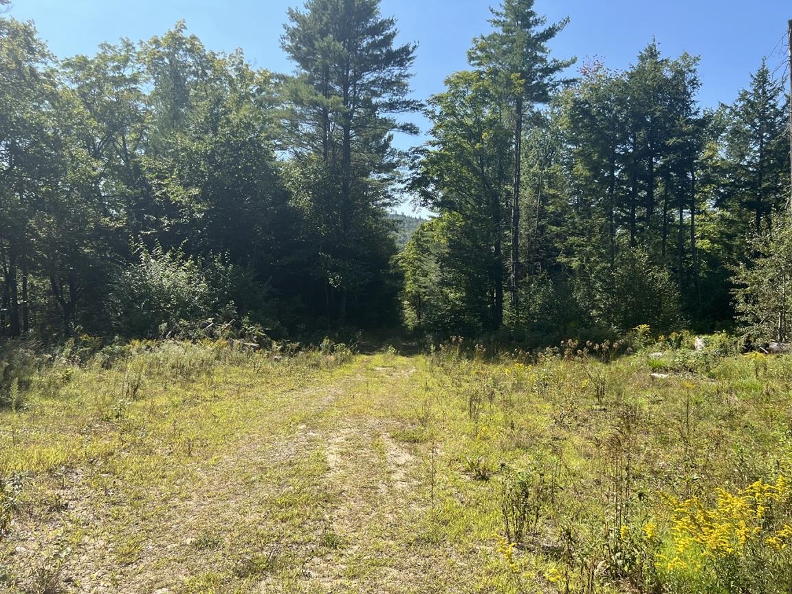 22 Plaisted Road Campton, NH 03223 - Photo 2 of 17 Gallery Image 2