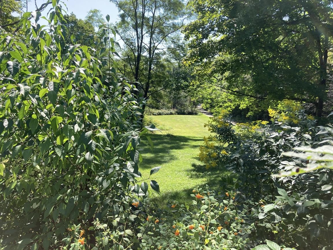 22 Plaisted Road Campton, NH 03223 - Photo 5 of 17 Gallery Image 5