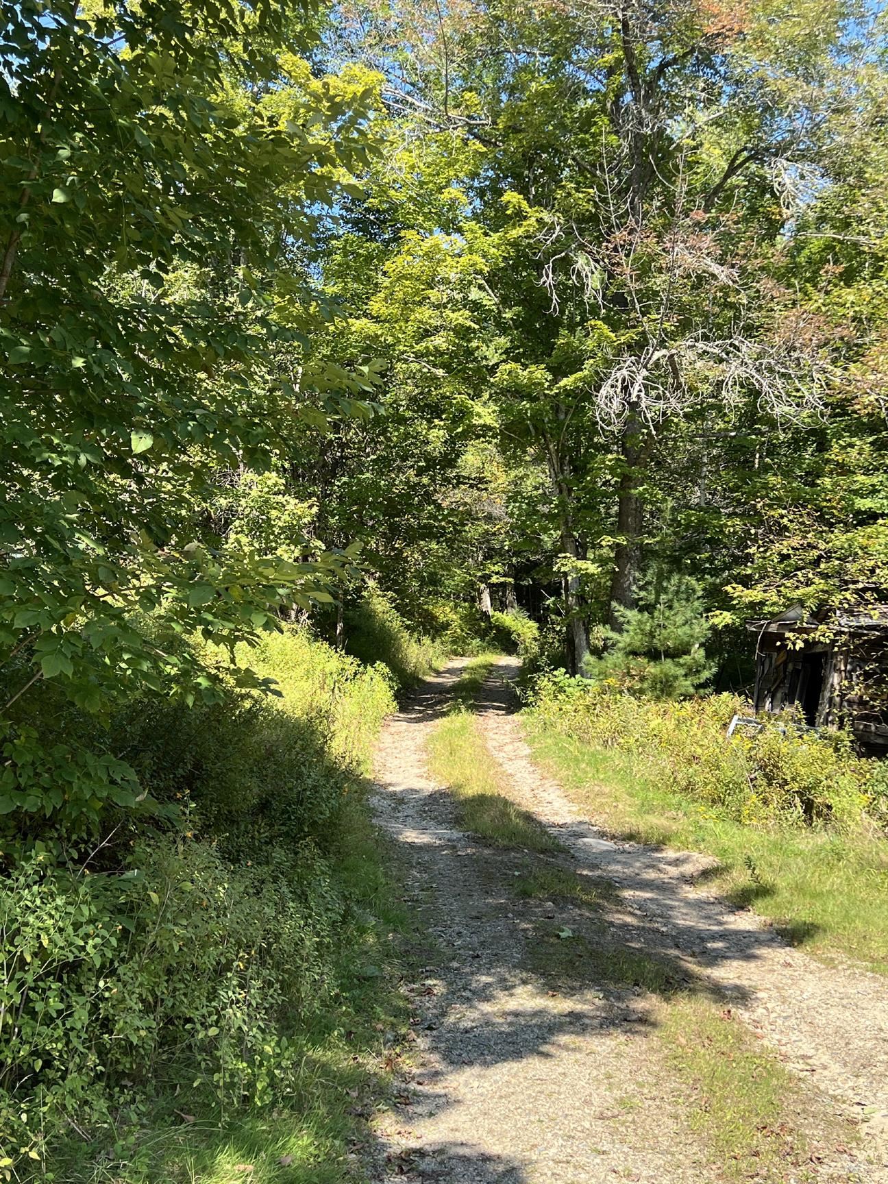 22 Plaisted Road Campton, NH 03223 - Photo 6 of 17 Gallery Image 6