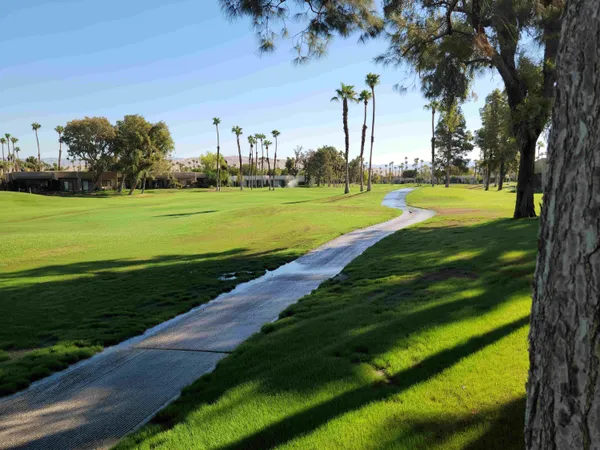 a view of a park with large trees