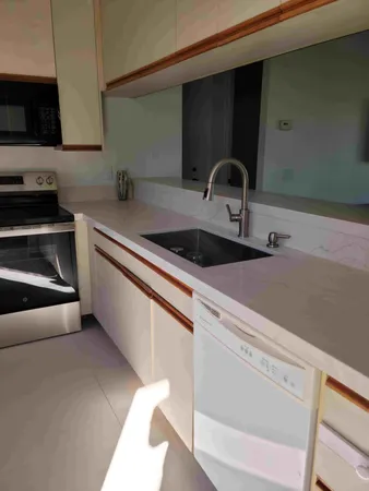 a close view of a sink and dishwasher in kitchen
