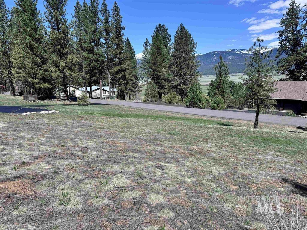 Lot 19 Hot Springs Road New Meadows, ID 83654 - Photo 19 of 28