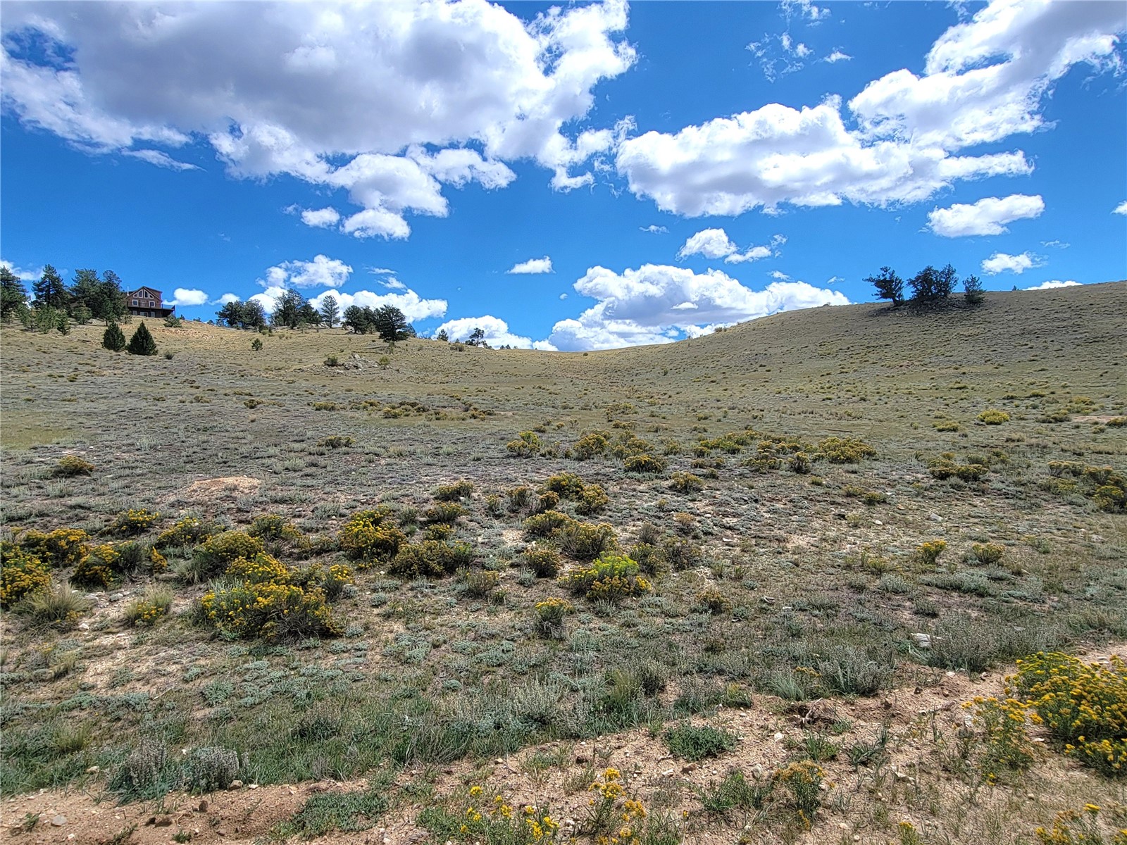 20 Yellowstone Road Hartsel, CO 80449 - Photo 14 of 50 Gallery Image 14