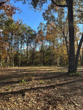 $24,500 | 292 Pineneedle Circle, Johnsonville, SC 29555
