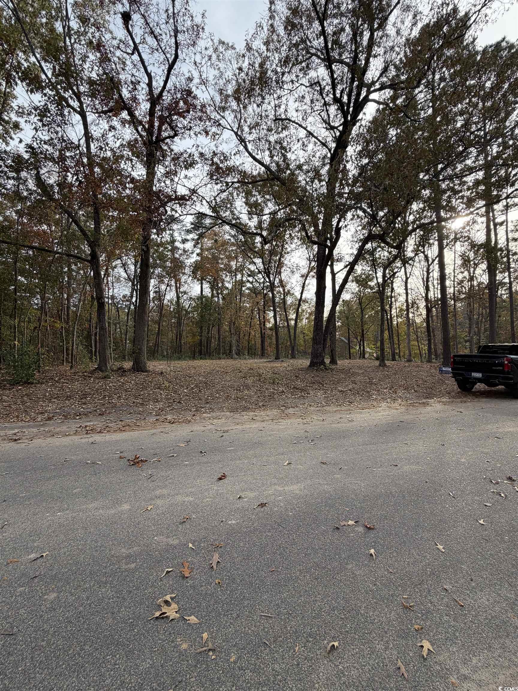 292 Pineneedle Circle Johnsonville, SC 29555 - Photo 2 of 2 View of road