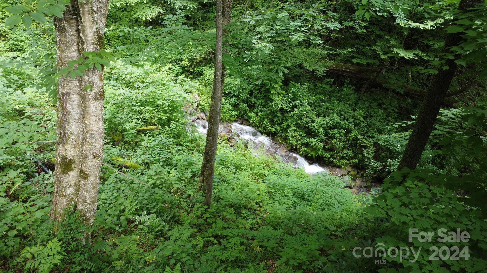 206 Buckeye Haven Road Maggie Valley, NC 28751 - Photo 15 of 32 Gallery Image 15