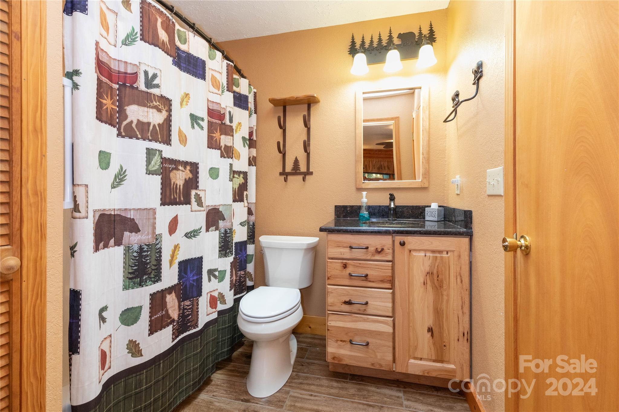 206 Buckeye Haven Road Maggie Valley, NC 28751 - Photo 21 of 32 Gallery Image 21
